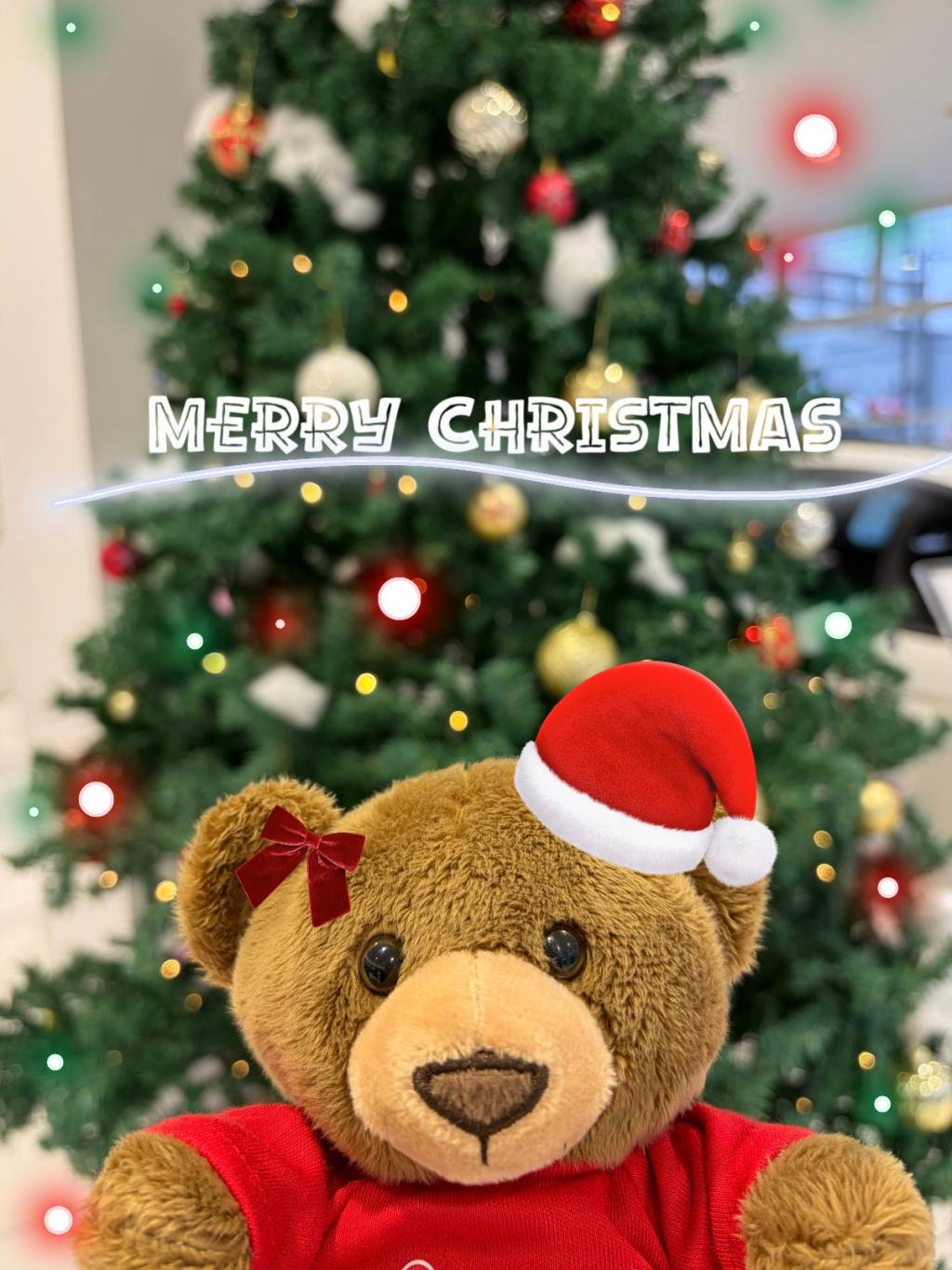 🎄Merry Christmas🎄