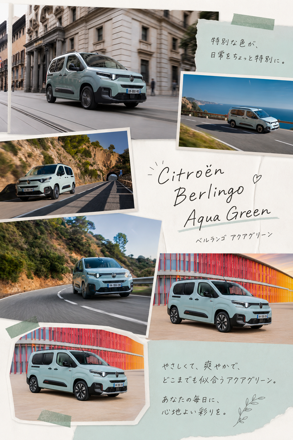 🩵BERLINGO Aqua Green🩵